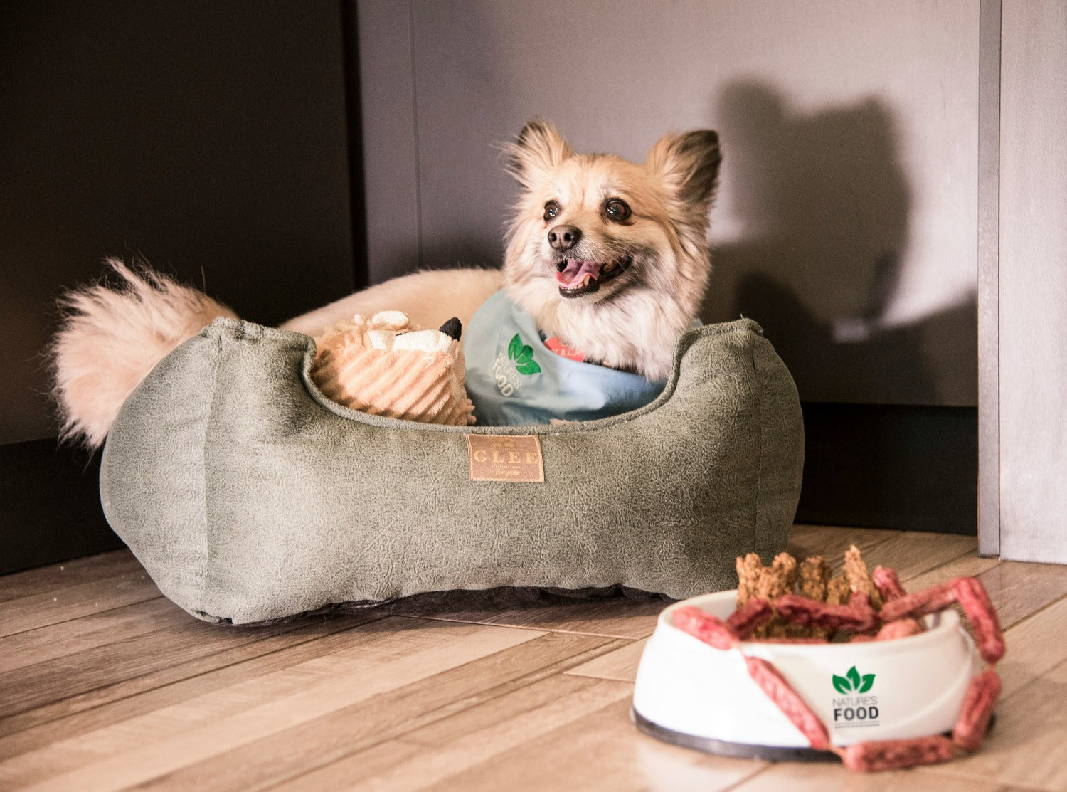 Premium and Trendy Pet Beds