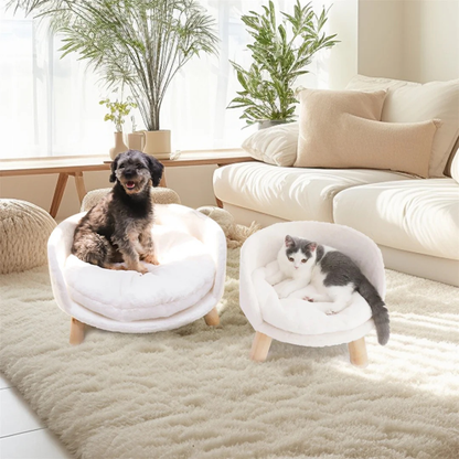 Plush Luxury Cat Bed with Cozy Cushion Pad