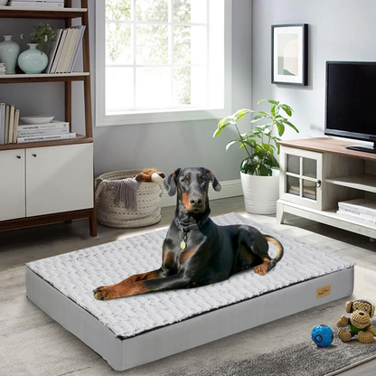 Gray Orthopedic Pet Calming Bed Soft Sponge Foam Base with Removable Cover