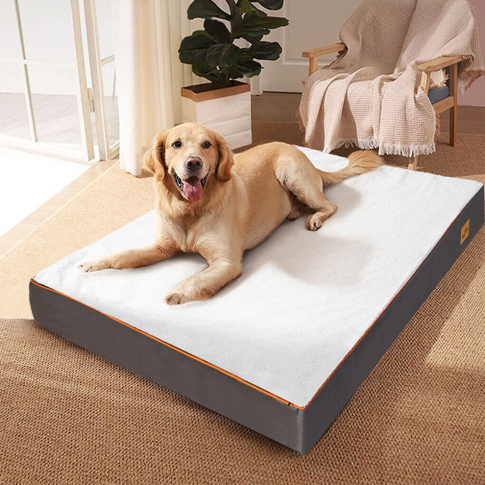 Gray Orthopedic Pet Calming Bed Soft Sponge Foam Base with Removable Cover