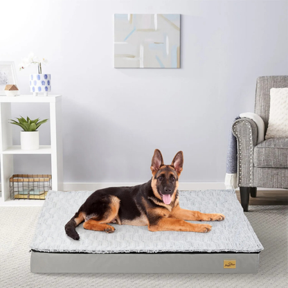 Gray Orthopedic Pet Calming Bed Soft Sponge Foam Base with Removable Cover