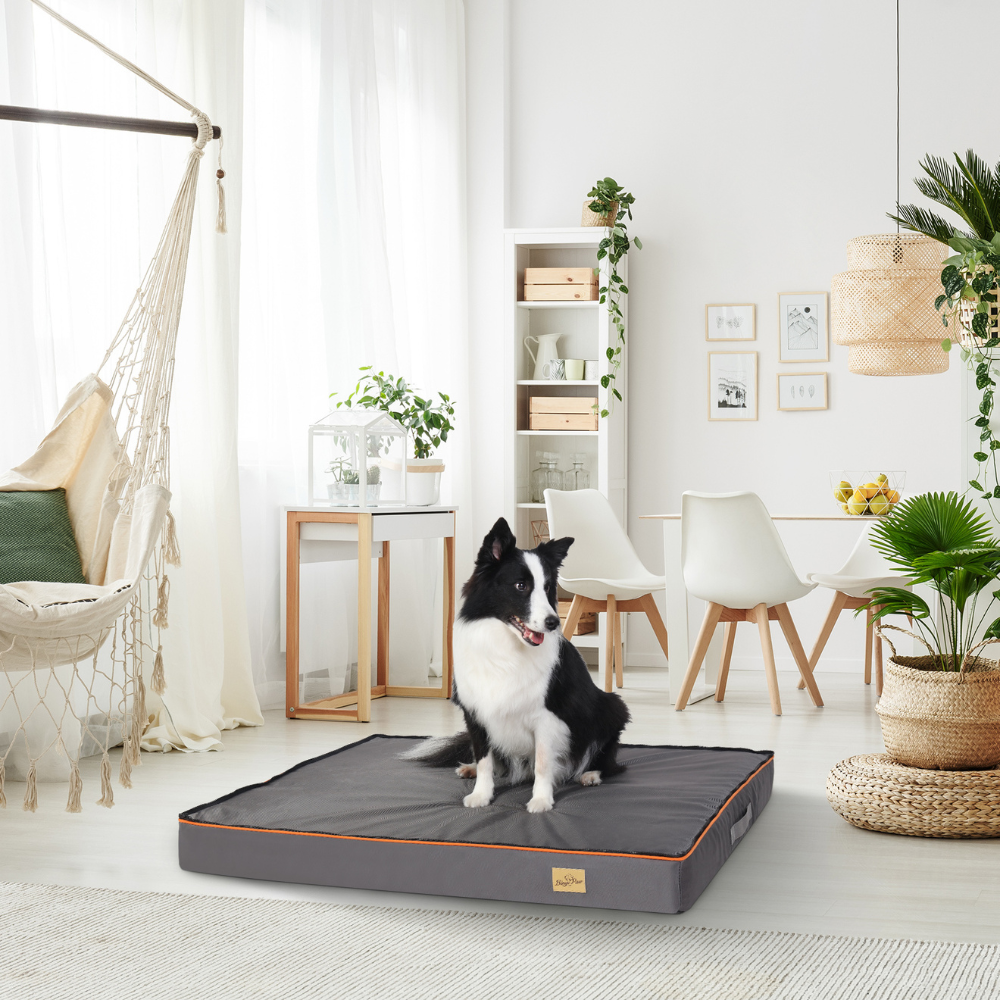 Gray Orthopedic Pet Calming Bed Soft Sponge Foam Base with Removable Cover