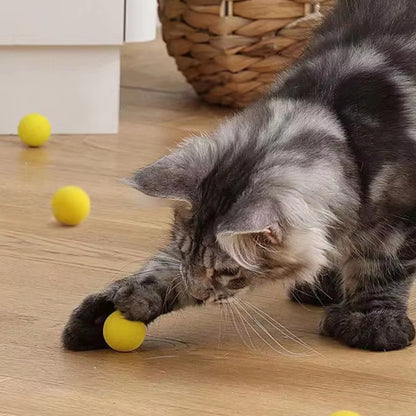 Interactive Cat Toy Shooter with Plush Ball for Training and Play